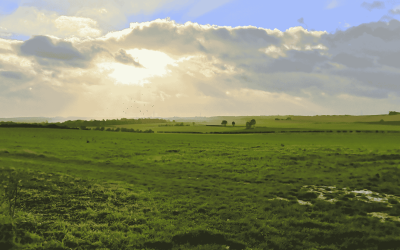 Therfield Heath Walk